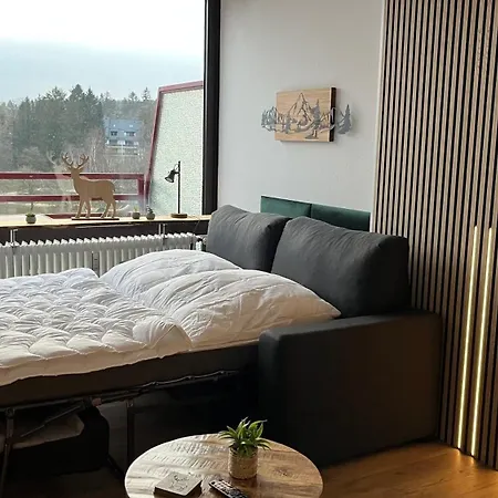 Panoramablick Hahnenklee Appartement