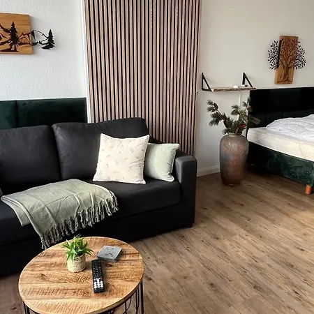 Panoramablick Hahnenklee Goslar