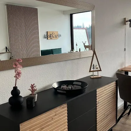 Panoramablick Hahnenklee