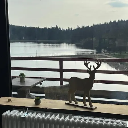 Panoramablick Hahnenklee *