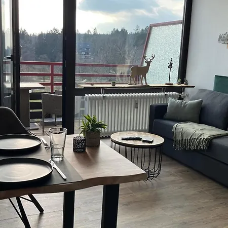 Panoramablick Hahnenklee *